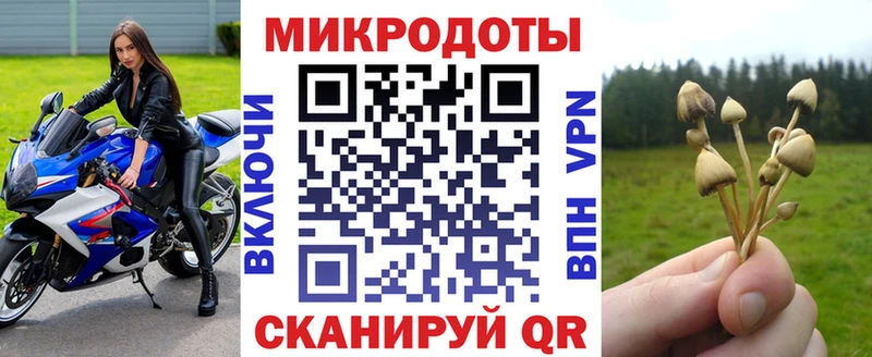 Галлюциногенные грибы Psilocybe  Малоархангельск 